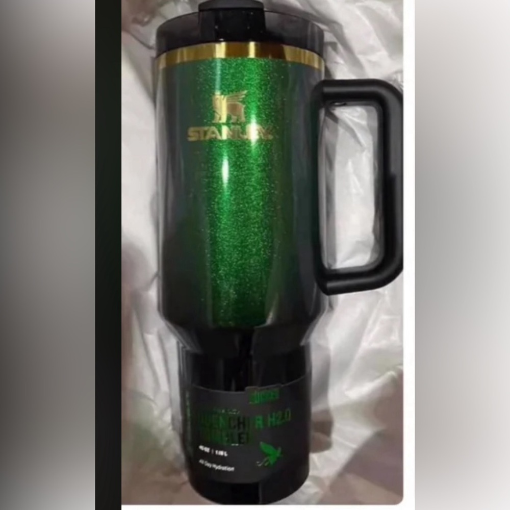 Wicked Elphaba Stanley Tumbler Limited Edition